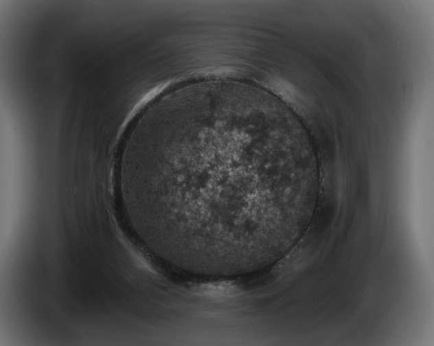 X0000084530112200703021430