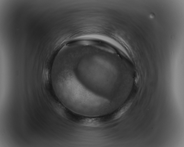 X0000084530117200703021430