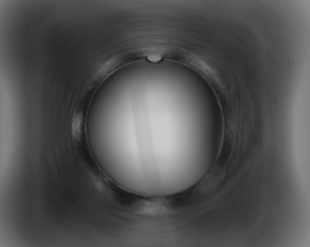 X0000084530118200703021430