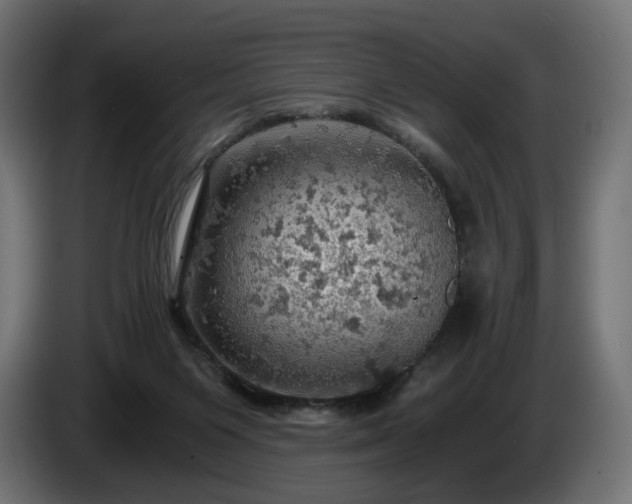 X0000084530119200703021430