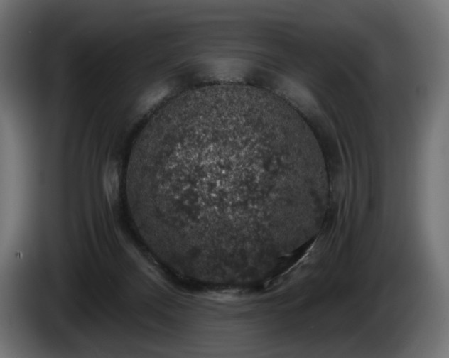 X0000084530120200703021430