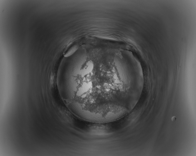 X0000084530123200703021430