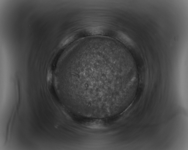X0000084530124200703021430