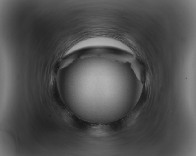 X0000084530125200703021430