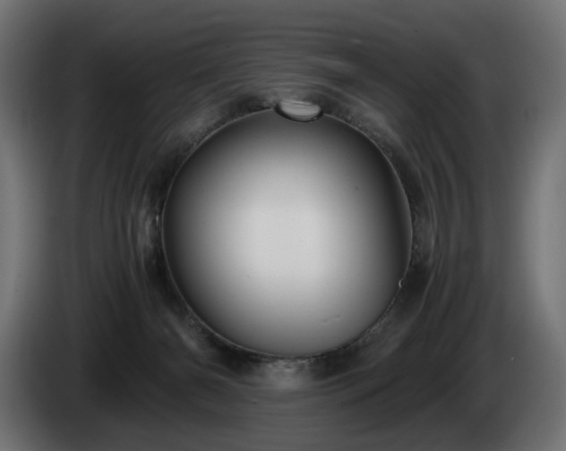 X0000084530126200703021430