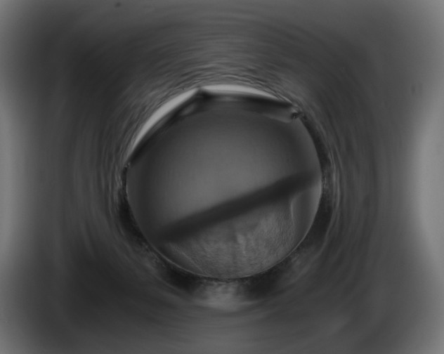 X0000084530127200703021430