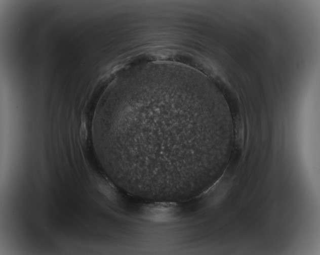 X0000084530128200703021430