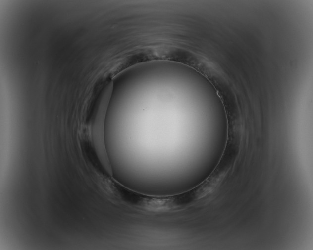 X0000084530129200703021429