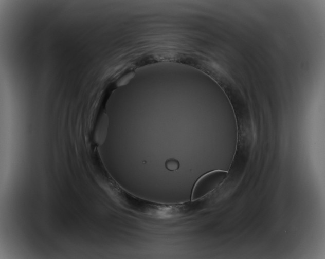 X0000084530130200703021429