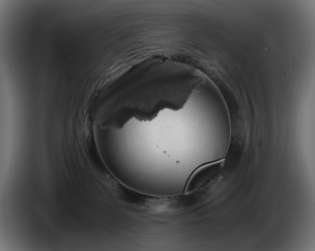 X0000084530131200703021429