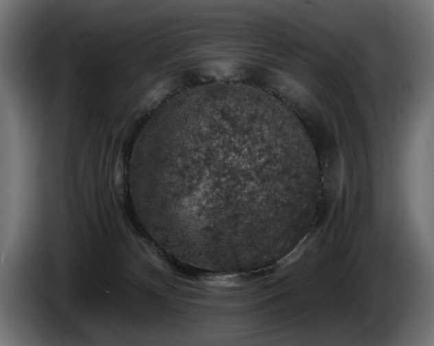 X0000084530132200703021429