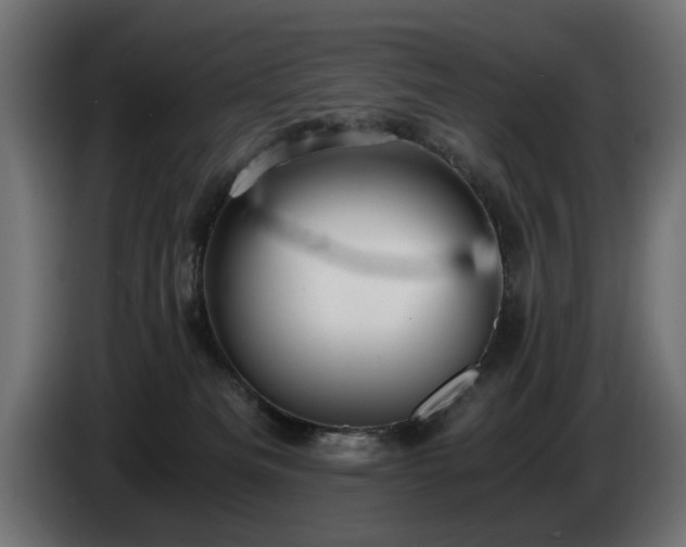 X0000084530133200703021429