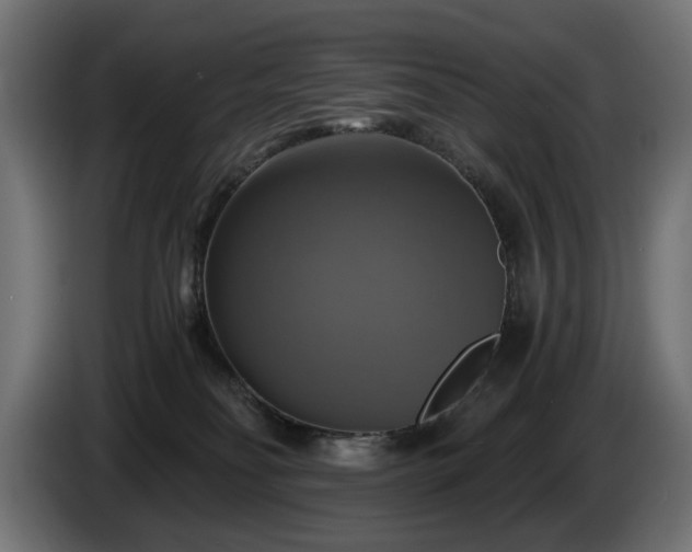 X0000084530134200703021429
