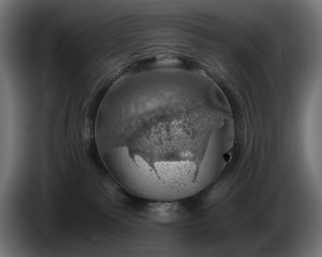 X0000084530135200703021429