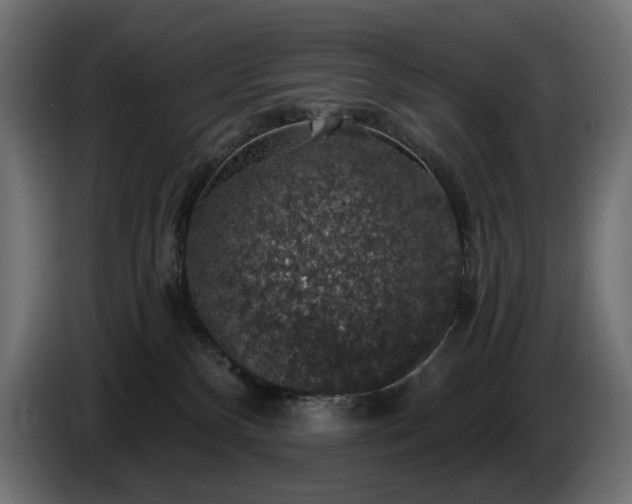 X0000084530136200703021429