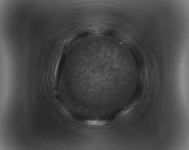 X0000084530137200703021429