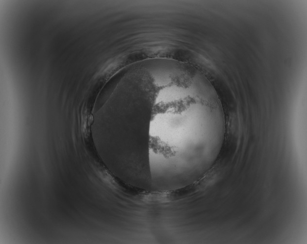 X0000084530138200703021429