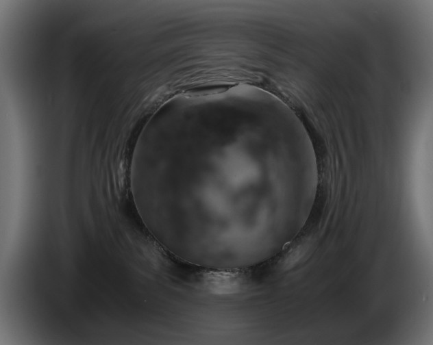 X0000084530139200703021429