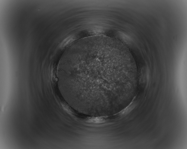 X0000084530140200703021429