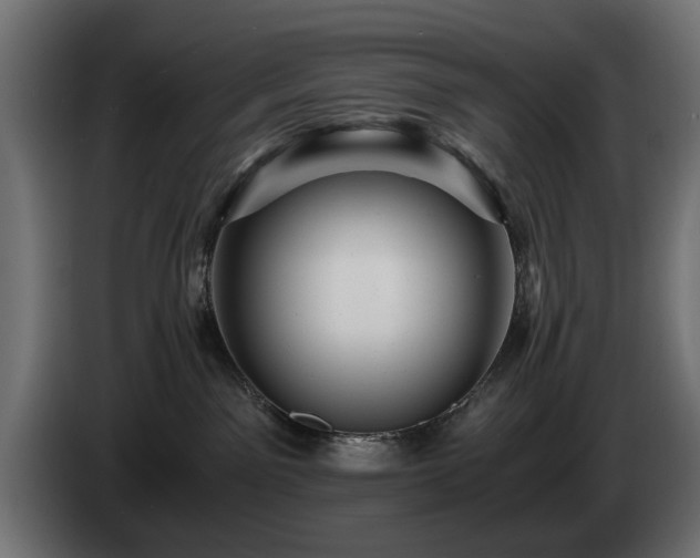 X0000084530141200703021429
