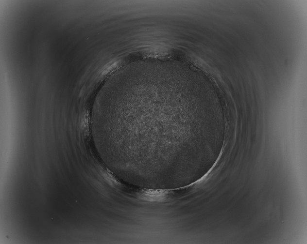 X0000084530144200703021429