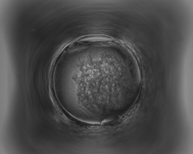 X0000084530145200703021429