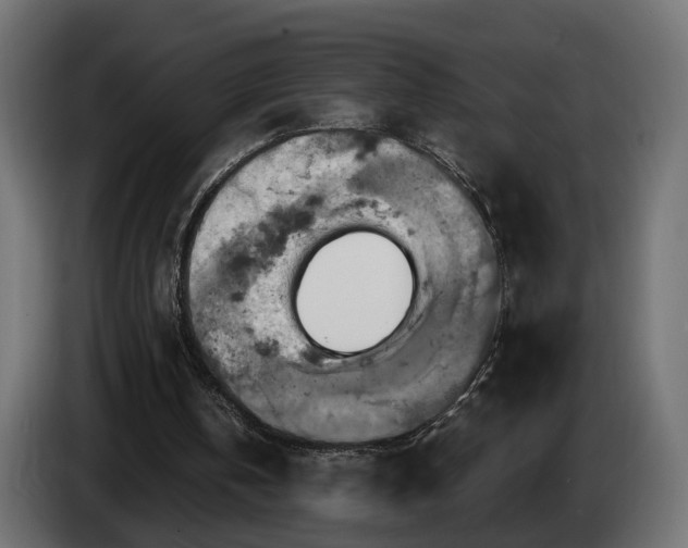 X0000084530146200703021429