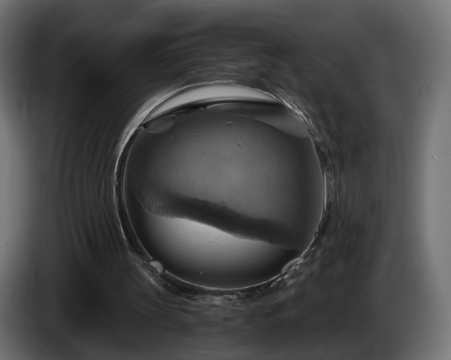X0000084530147200703021429