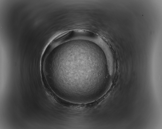 X0000084530148200703021429