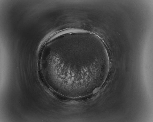 X0000084530149200703021429