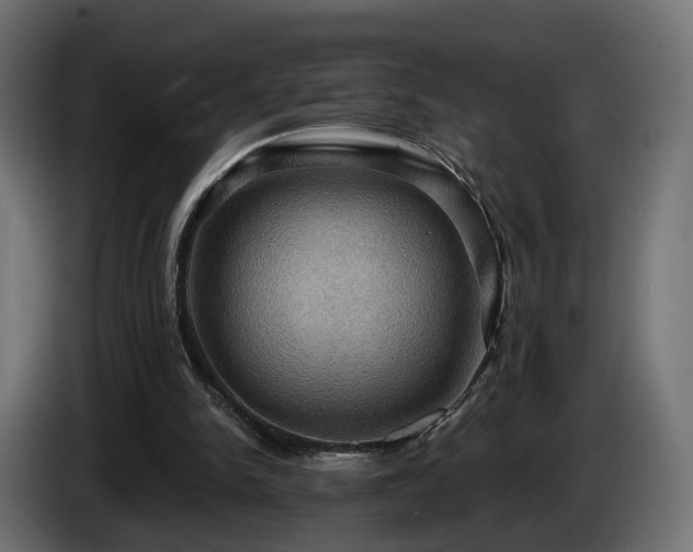 X0000084530150200703021429