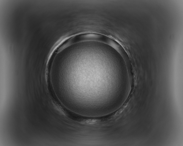 X0000084530152200703021429