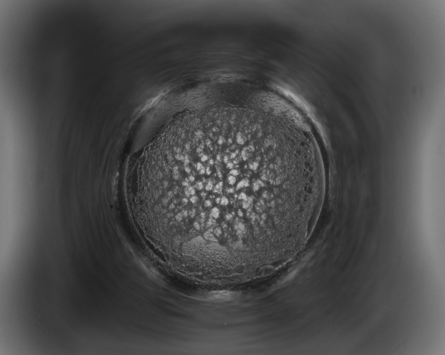 X0000084530153200703021429