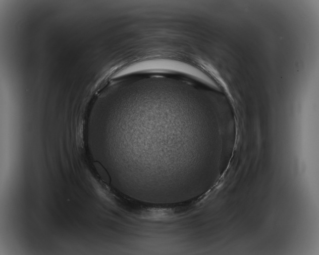 X0000084530154200703021429