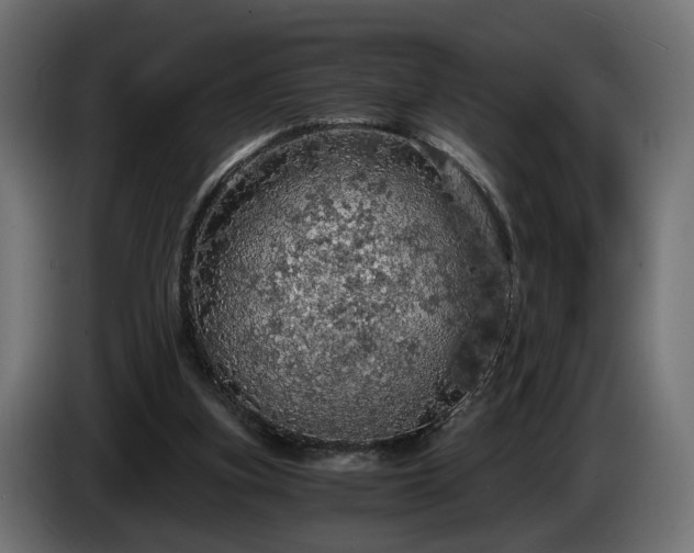 X0000084530155200703021429