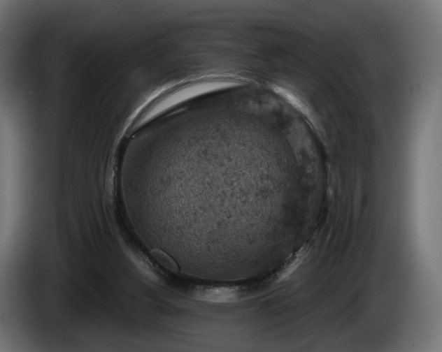 X0000084530156200703021429