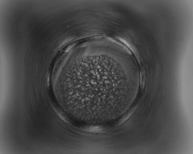X0000084530157200703021429