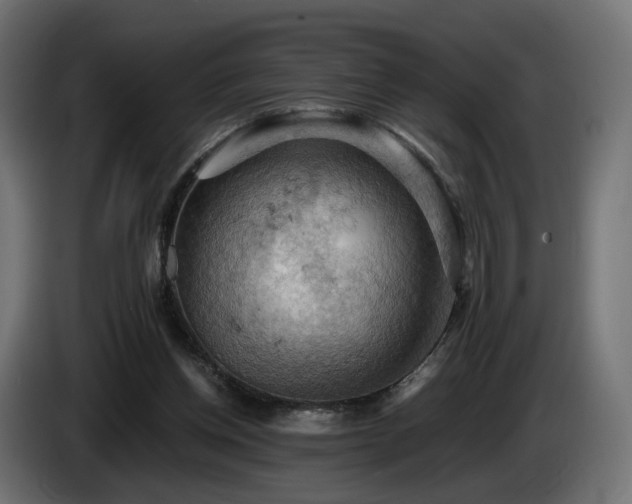 X0000084530158200703021429