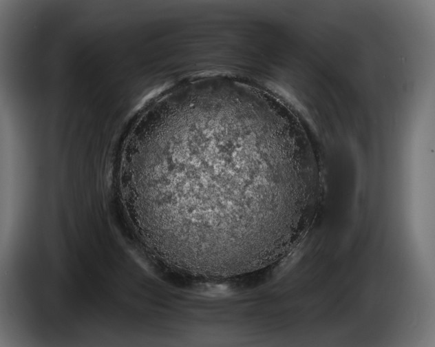 X0000084530159200703021429