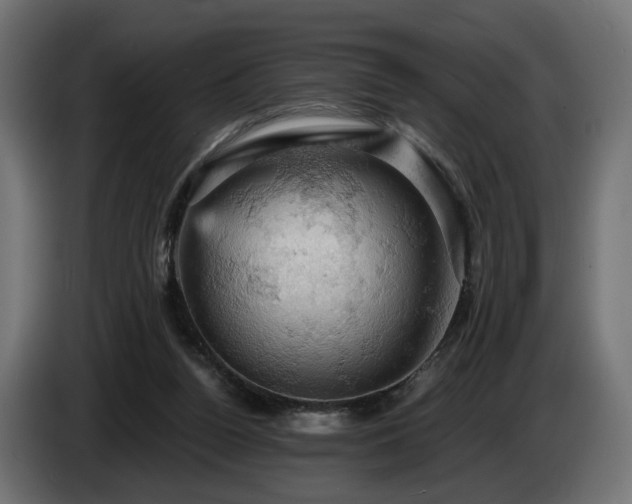 X0000084530160200703021429
