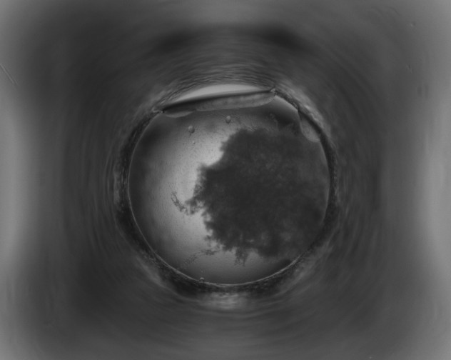 X0000084530161200703021429