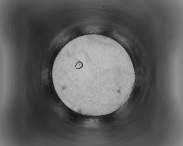 X0000084530162200703021429