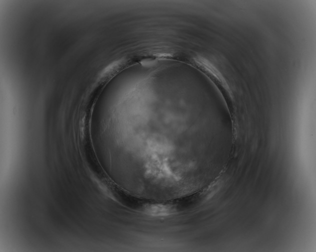 X0000084530163200703021429
