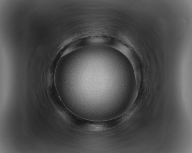 X0000084530164200703021429