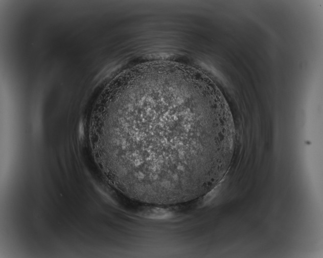 X0000084530166200703021429