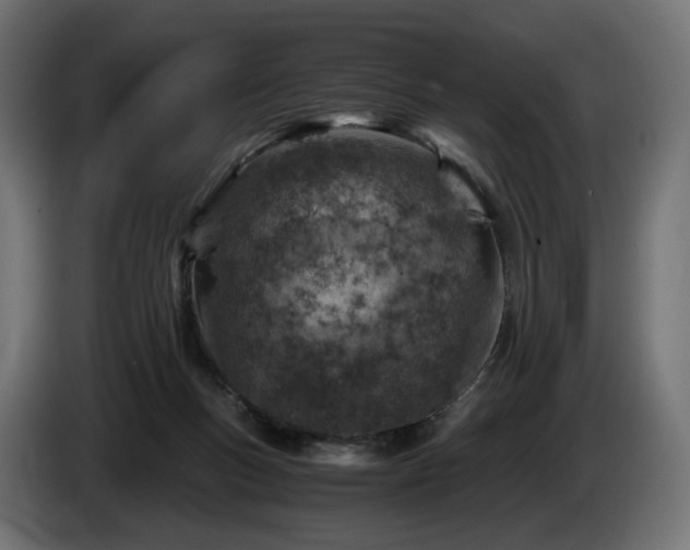 X0000084530167200703021429