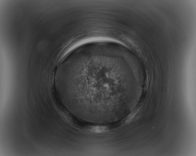 X0000084530168200703021429