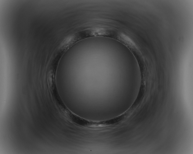 X0000084530169200703021429