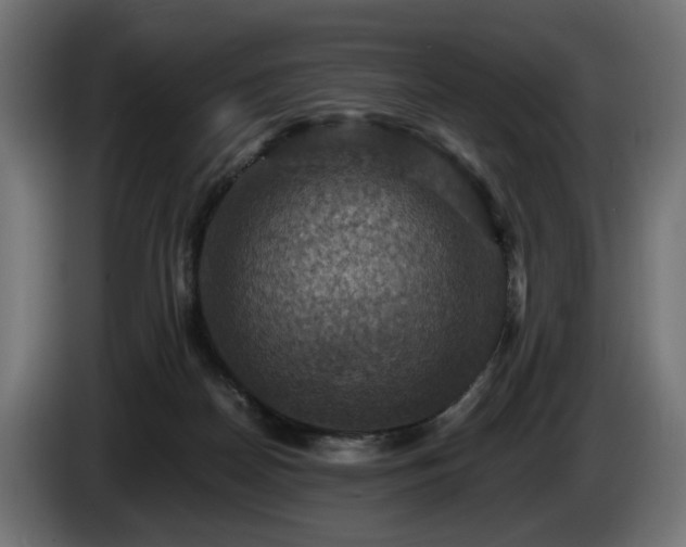 X0000084530170200703021429