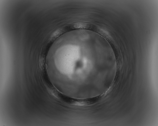 X0000084530171200703021429